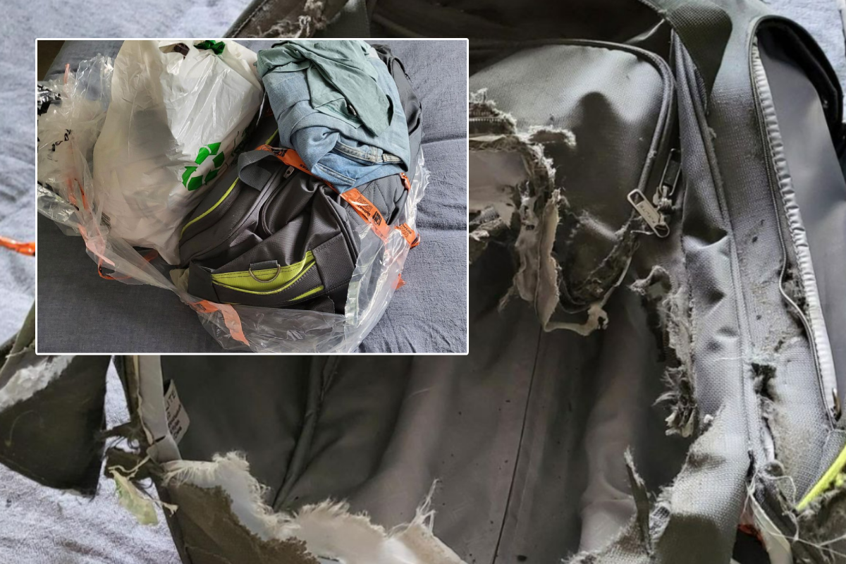 Article image for Traveller’s bizarre experience after luggage turns up wrecked