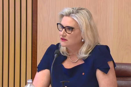 Senator blasts Peter FitzSimons’ ‘hypocrisy’ towards Jacinta Price