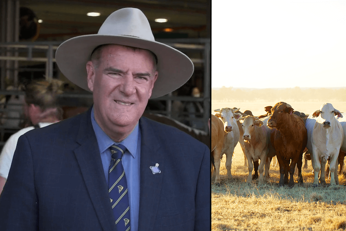 Article image for Specialist squad to reduce threat of disease spread in Qld
