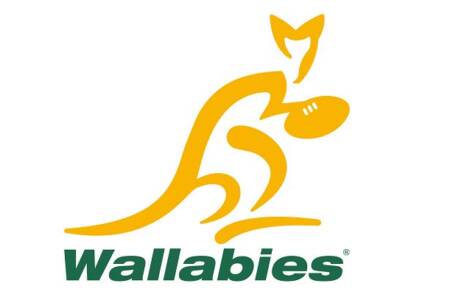 Wallabies vs South Africa preview