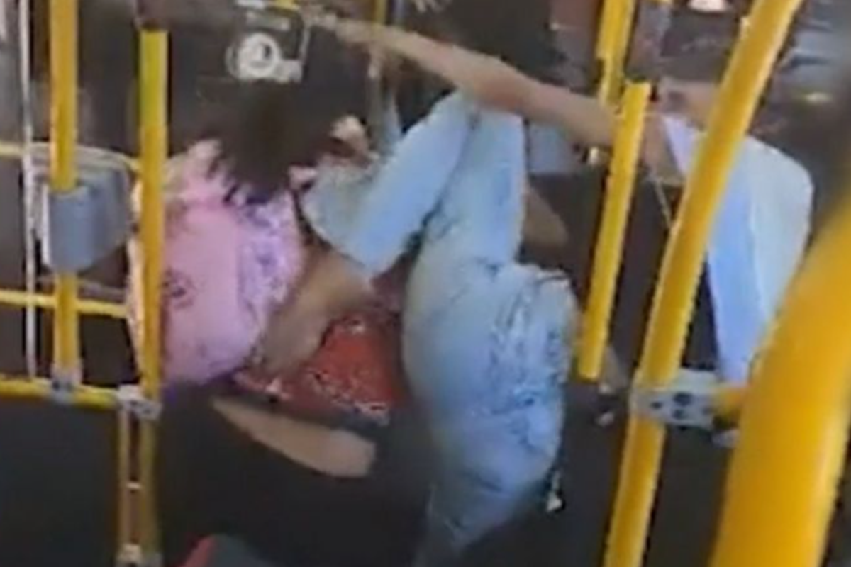 Article image for The notorious Brisbane bus routes some drivers are ‘afraid’ to take