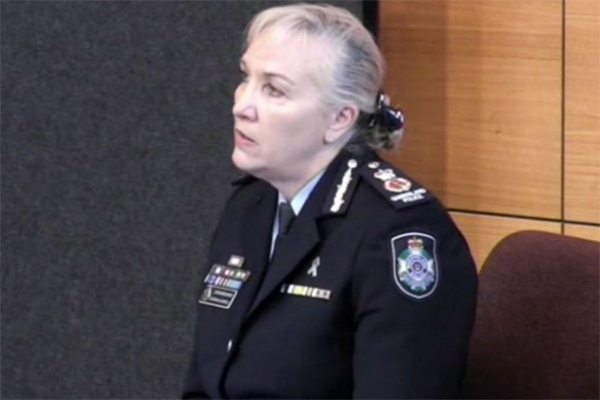 Article image for Top cop recalls attack from ‘sexual predator’ colleague at DV inquiry