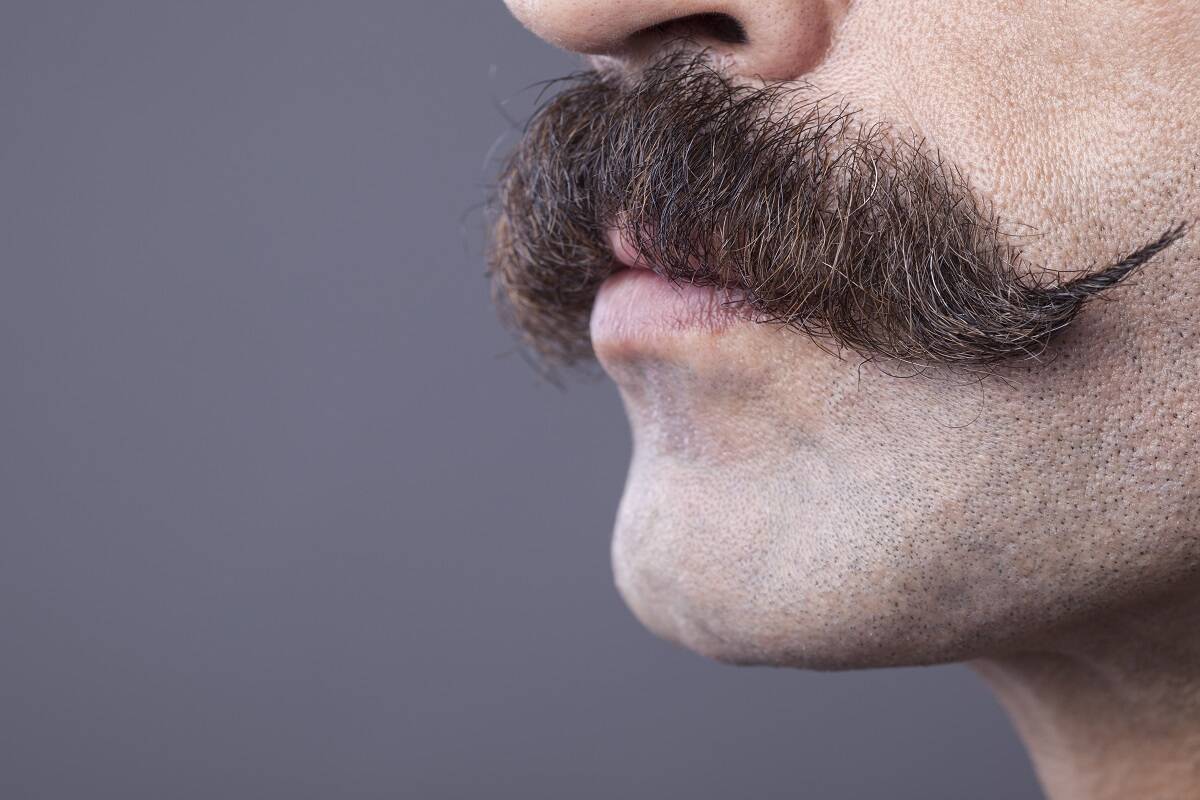 Article image for Movember returns to Australia for another year