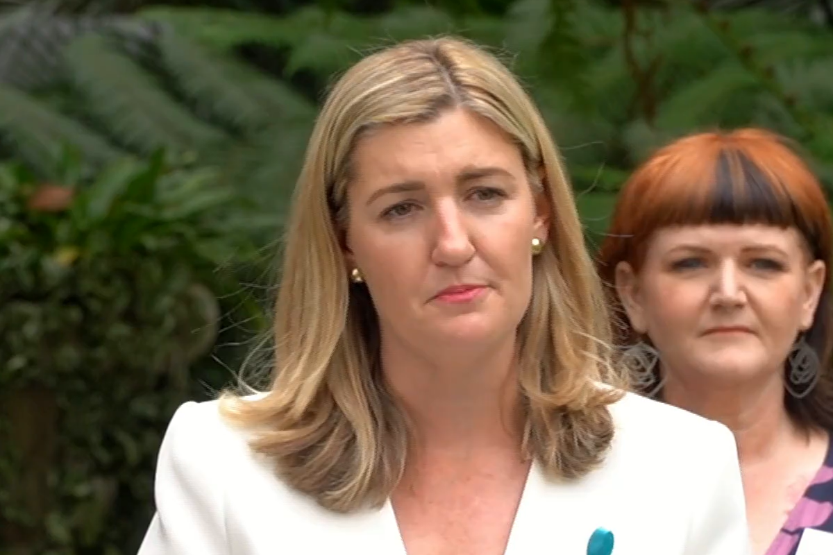 Article image for ‘A lot of work to do’: State introduces tougher domestic violence laws