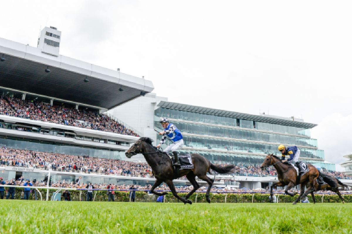 Article image for Noel Greenhalgh reflects on Gold Trip’s Melbourne Cup victory