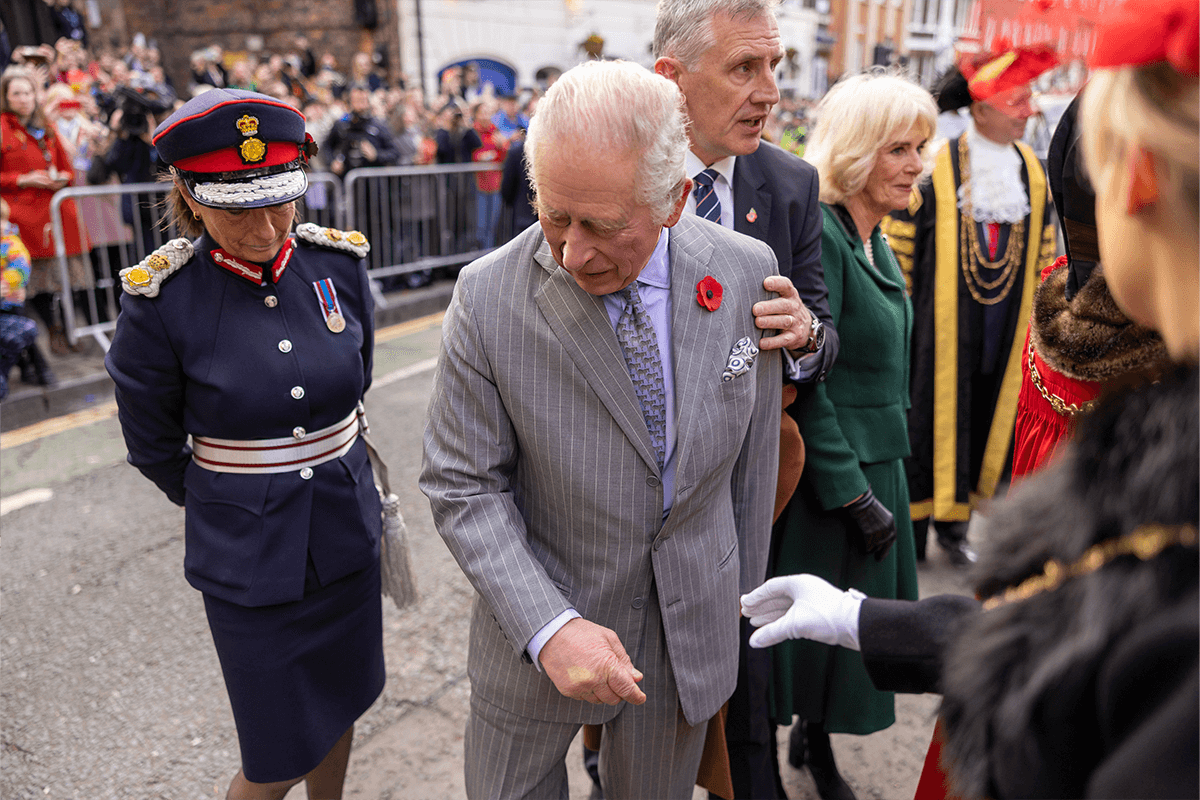 Article image for Uni student detained after appearing to throw eggs at King Charles III