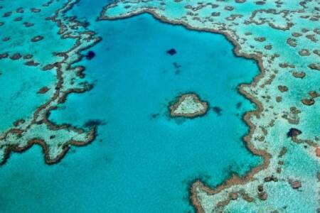 Saving the Great Barrier Reef