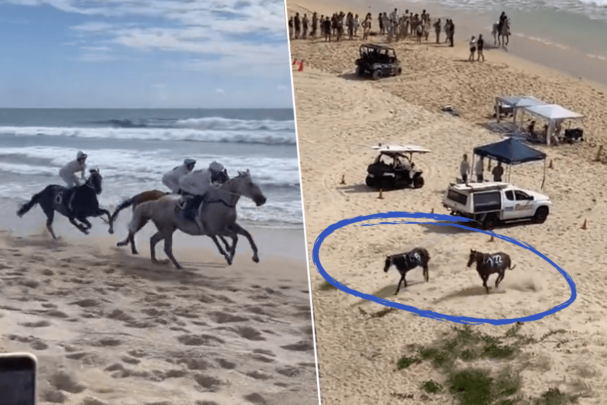 Article image for WATCH | Horses bolt onto Gold Coast Highway after escaping beach race