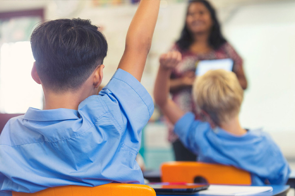 Article image for Qld teachers using ChatGPT to write lesson plans, letters to parents