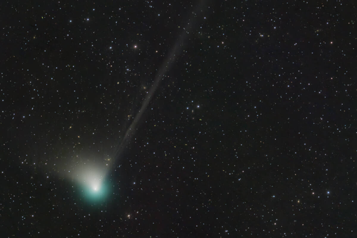 Article image for When you can see ‘the green comet’ from Brisbane 