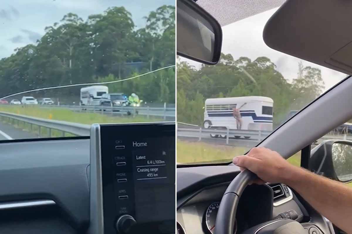 Article image for Whatever floats your boat: Nude dude stuns Bruce Highway motorists