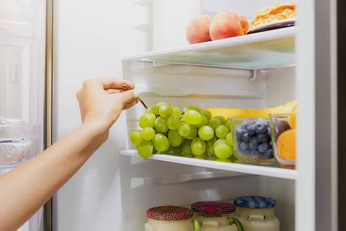 Article image for The ‘definitive’ list of which foods belong in the fridge