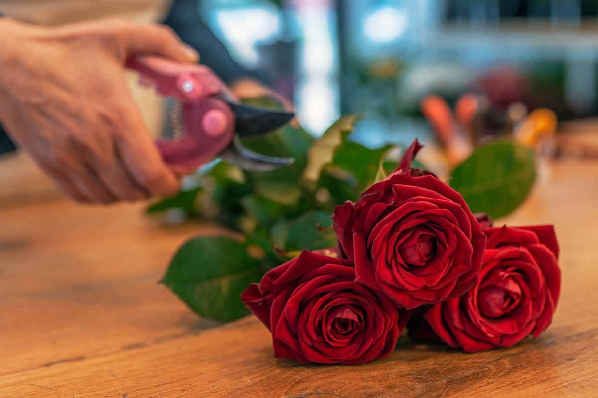 Article image for The most unusual requests a local florist has received for Valentine’s Day