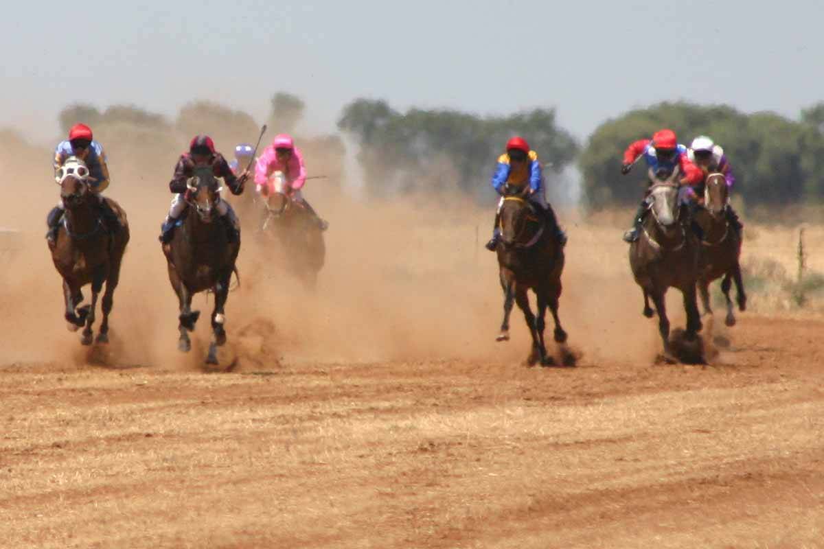 Article image for Bush jockey shortfall solution ‘just needs some effort from government’
