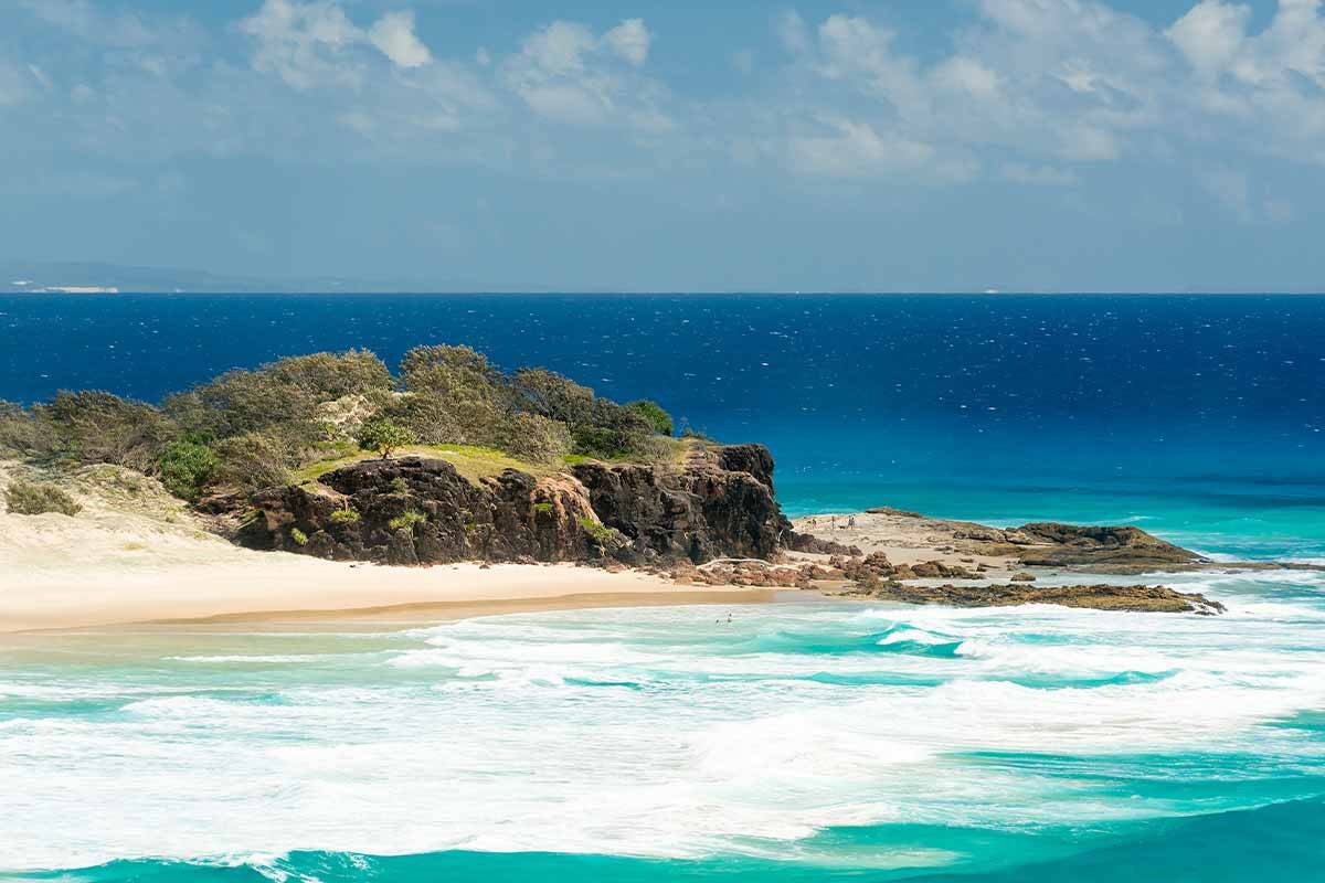 Article image for ‘A cause for concern’: Dangerous pest spreads to Stradbroke Island