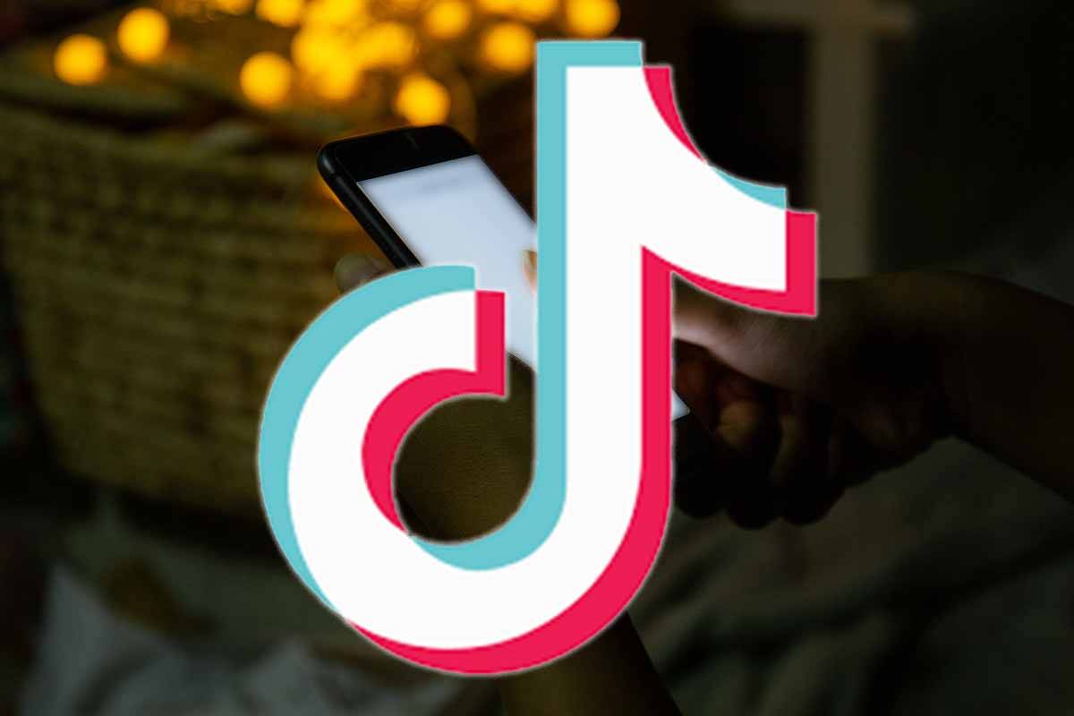 Article image for Mother ‘disgusted’ after alleged torture videos appeared on teen’s TikTok feed