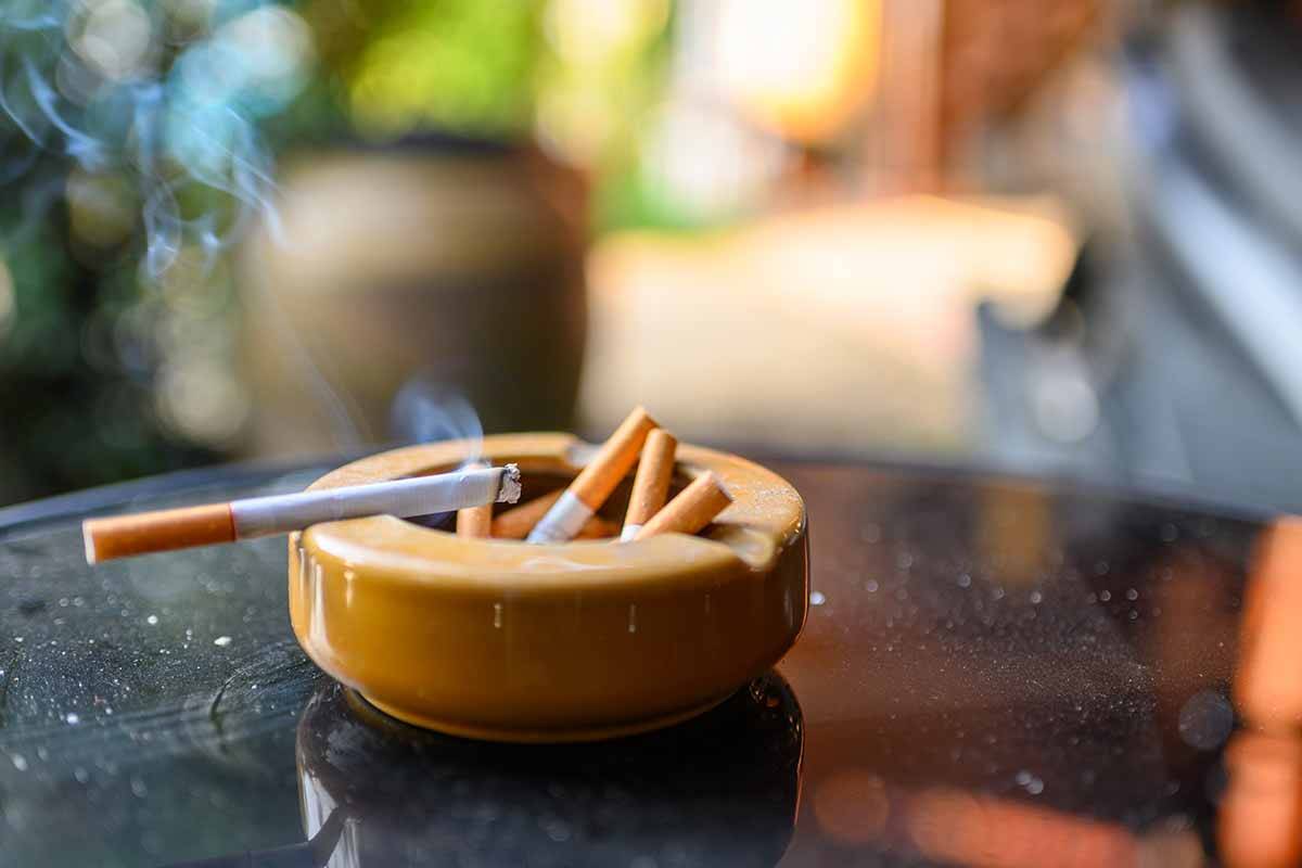 Article image for State government to crack down on illegal tobacco sales