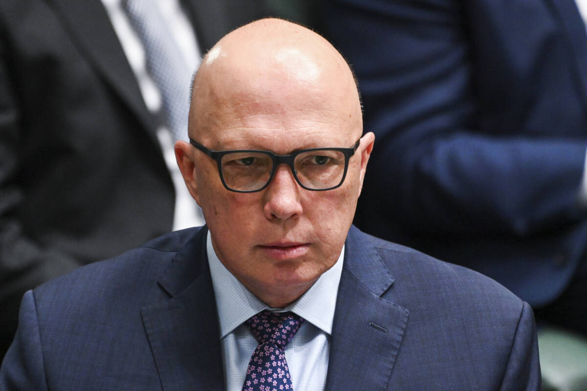 Article image for Federal Opposition calls for ban on sports betting ads