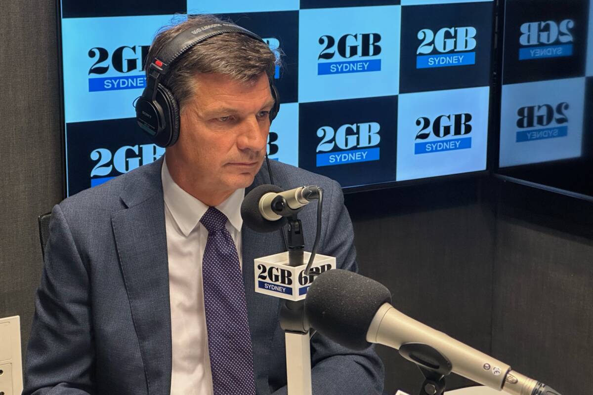 Article image for ‘It’s inflationary’: Angus Taylor reacts to Labor’s Federal Budget