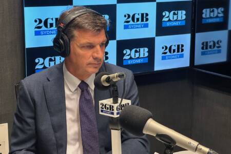 ‘It’s inflationary’: Angus Taylor reacts to Labor’s Federal Budget