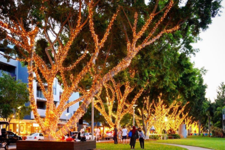 Trees are lighting up South-East Queensland