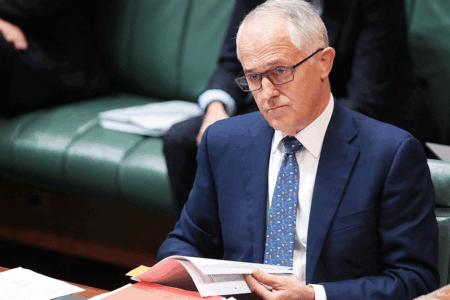 ‘Relevance Deprivation Syndrome’: Ray rips Turnbull’s Voice backflip