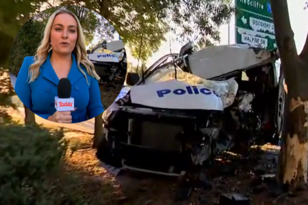 Stolen police car triggers chase and ends in crash