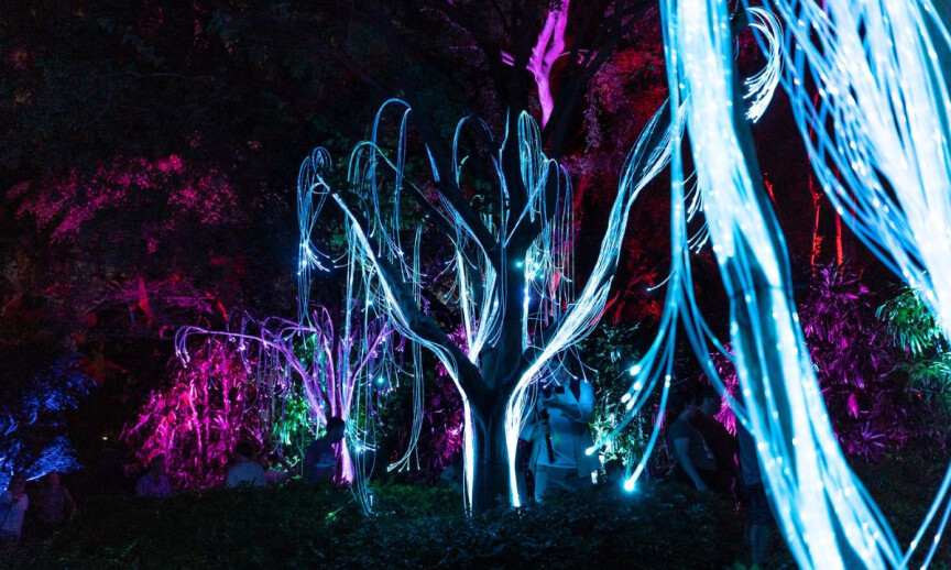 4bc christmas lights