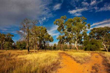 More Med Students Heading to the Bush