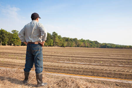 The “soil health” secret allowing large-scale farmers to slash fertilizer bills by 70%