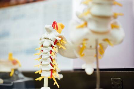 Queensland charity at the forefront of developing a cure for spinal cord injury