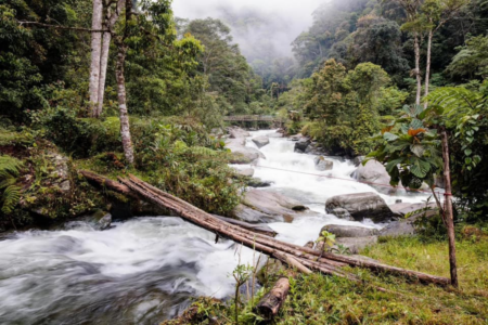 Track or Trail: Everything you need to know about Kokoda