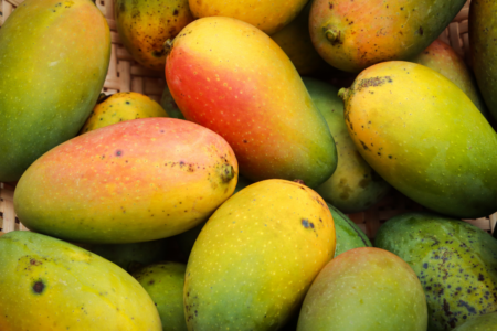 Could mangoes become seedless?