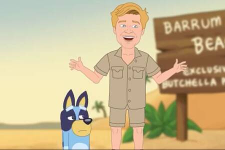 Robert Irwin threatens legal action over Pauline Hanson cartoon