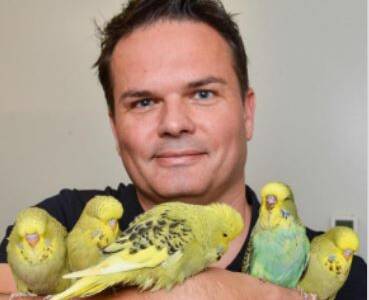 A look at the Grand Final for bird lovers
