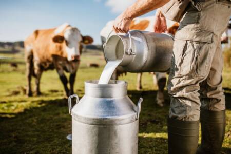 Dairy Farmers raise concerns about potential agriculture tariffs from the US