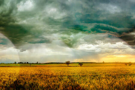 National Rural News Monday April 7