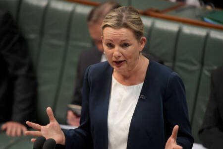 Sussan Ley set for extra scrutiny as female Opposition leader