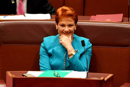 ‘I believed in myself’: Pauline Hanson celebrates senate result