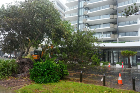 Ex-Tropical Cyclone Alfred study reveals safety risks in Brisbane high-rise building techniques