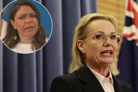 ‘Not about seats at which tables’: Sussan Ley on her Shadow Cabinet decisions