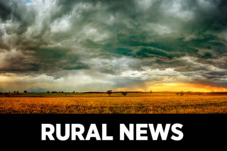 Mice numbers explode in parts of the country