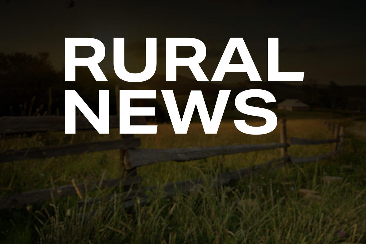 Article image for The Rural News podcasts