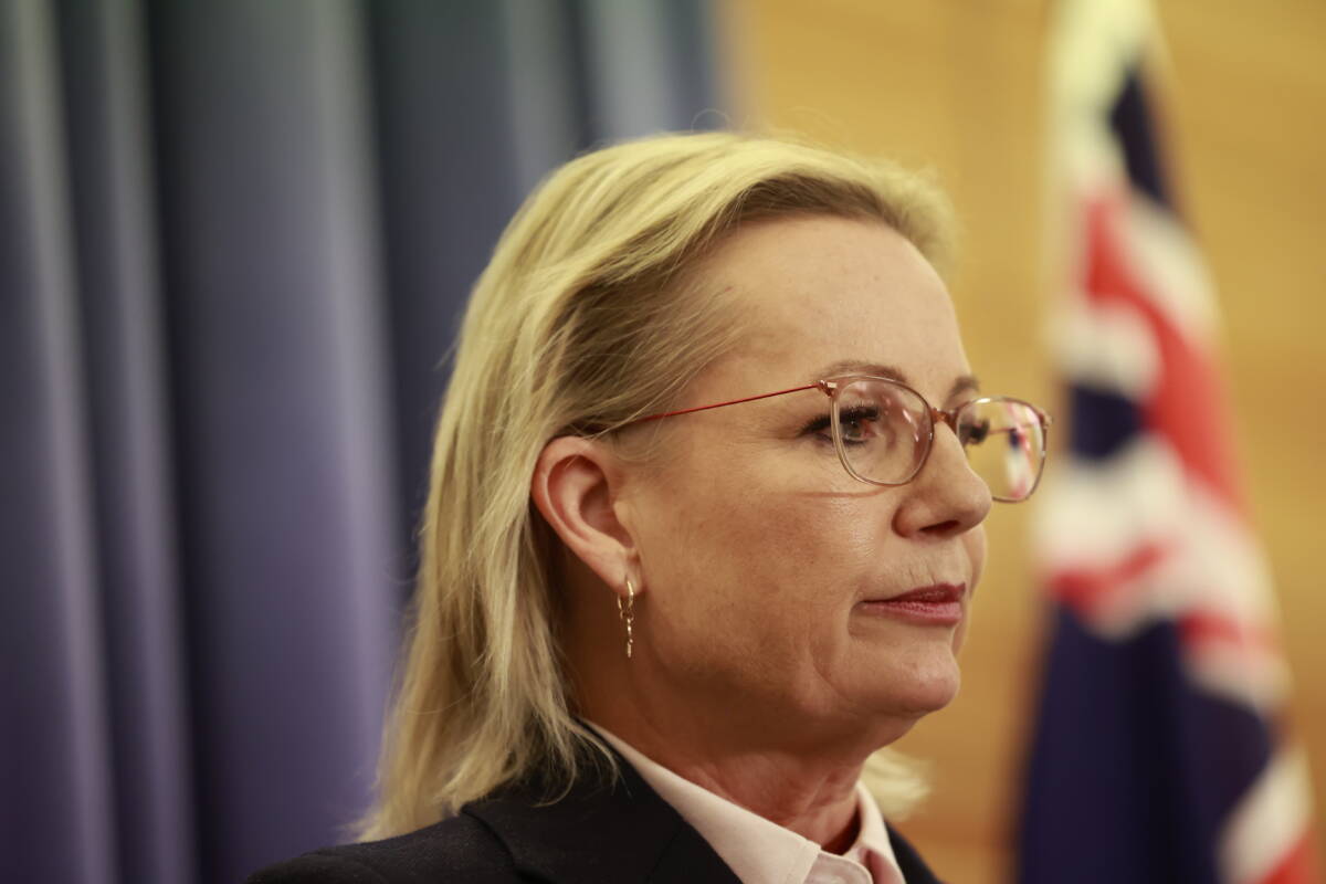 Article image for Ex-Liberal Minister slams the party for failing to hold Prime Minister Albanese accountable