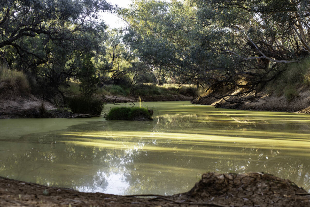 Article image for State government encourages tourists to visit Western Queensland after devastating floods