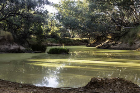 State government encourages tourists to visit Western Queensland after devastating floods