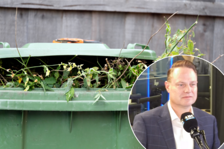 New green bin charge: Brisbane residents to pay $50, like it or not