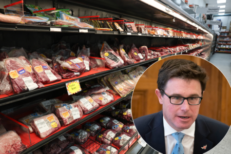 What ‘gravely’ concerns David Littleproud about Albanese’s US beef import backflip