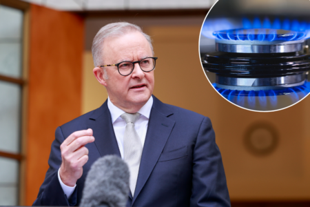 Shadow Resources Minister slams government inaction over potential gas shortages