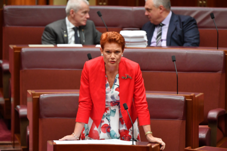 Pauline Hanson warns against Labour’s “Sneaky” YouTube ban